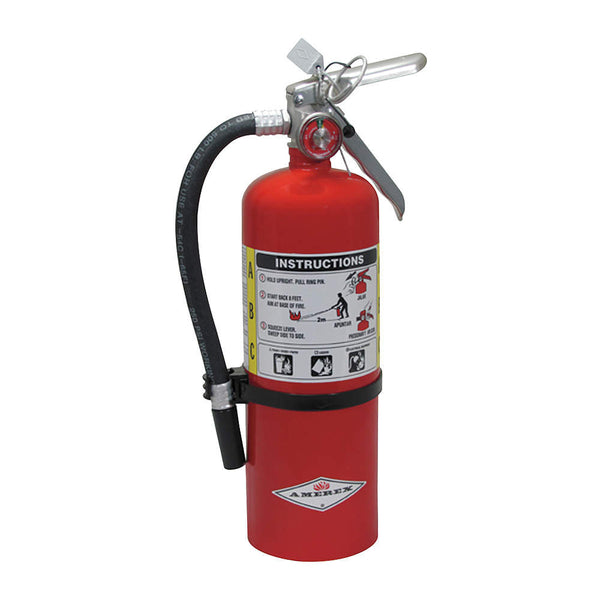 Dry Chemical Fire Extinguisher with 5 lb. Capacity and 14 sec. Discharge Time - addinstock