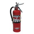 Dry Chemical Fire Extinguisher with 5 lb. Capacity and 14 sec. Discharge Time