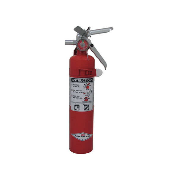 Dry Chemical Fire Extinguisher with 2.5 lb. Capacity and 10 sec. Discharge Time - addinstock