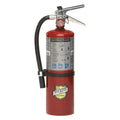 Buckeye, 5 lb. ABC Fire Extinguisher, 10914, Monthly Record Tag