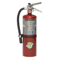 Buckeye, 5 lb. ABC Fire Extinguisher, 10914, Monthly Record Tag - addinstock