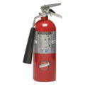 Carbon Dioxide Fire Extinguisher with 5 lb. Capacity and 8 to 10 sec. Discharge Time