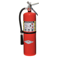 Dry Chemical Fire Extinguisher with 10 lb. Capacity and 20 sec. Discharge Time - addinstock